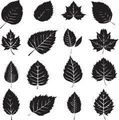 set of leaves