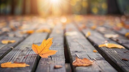 A single yellow maple leaf stands out on a sunlit, wooden deck covered with scattered leaves.