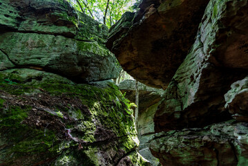 A city of boulders hidden under the forest canopy.