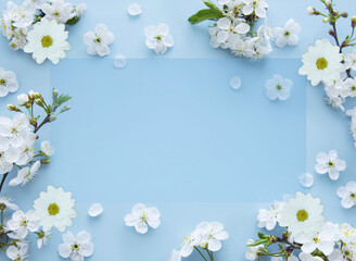 white cherry blossom