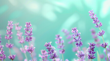 soft pastel gradient of lavender and teal, ideal for an elegant abstract background