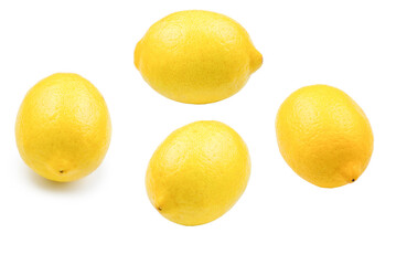 Lemon isolated on white background. Space for test or design.