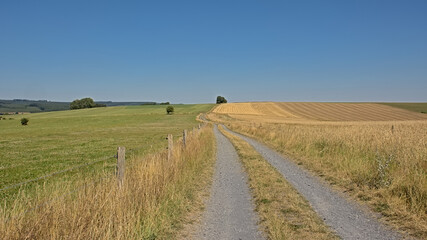 Fototapeta na wymiar Dirtroad between meadows in the wallonian countryside.