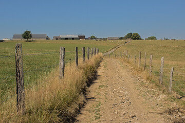 Dirtroad between meadows in the wallonian countryside.