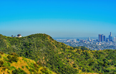 Griffith Observatory Amidst Vast Greenery with City and Skies