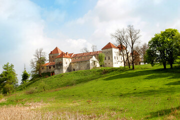 An ancient castle in the forest. Beautiful historical architecture. Fairytale palace against the...
