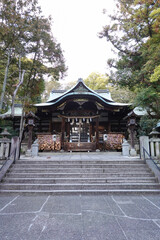 岡﨑神社の可愛い狛ううさぎ（京都）