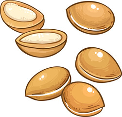 Argan Nuts Colored Detailed Illustration.