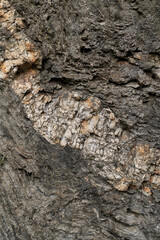 a natural stone