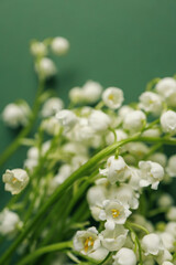 Lilies of the valley on a green background, a place for congratulations