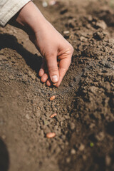 Using their thumb, a person plants seeds in the soil with a gentle gesture