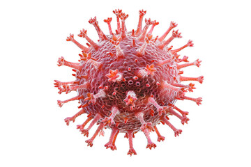 Cytomegalovirus Virus On Transparent Background.