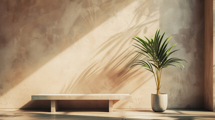 A large plant sits in a pot on a bench in a room with a tan wall. The plant casts a shadow on the bench, creating a sense of depth and dimension in the space. The room is empty