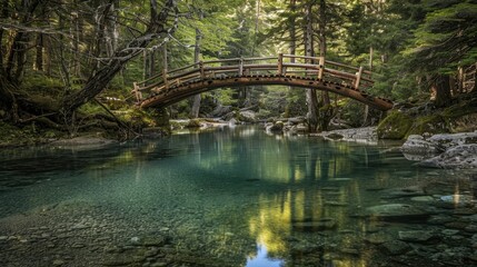 Arc-shaped timber bridge spanning a crystal-clear creek in a remote forest, inviting exploration and adventure.