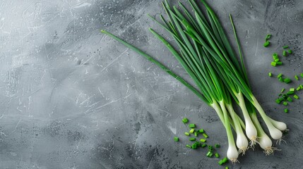 Bunch of fresh green onions on a grey background clean and simple presentation