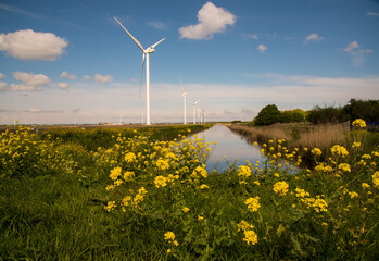wind turbines in the field near the canal