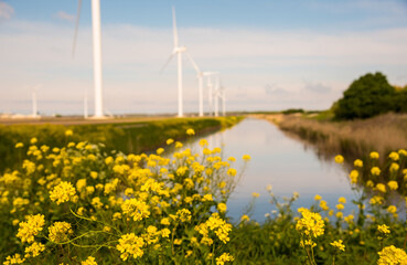 wind turbines in the field near the canal