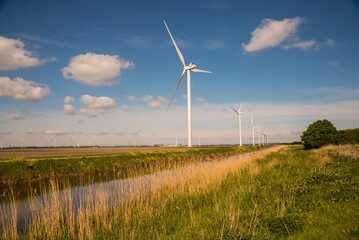 wind turbines in the field