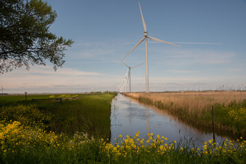 wind turbines in the field near the canal