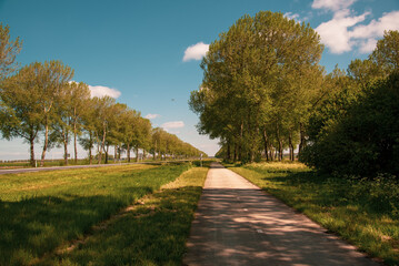 bicycle road in the summer park