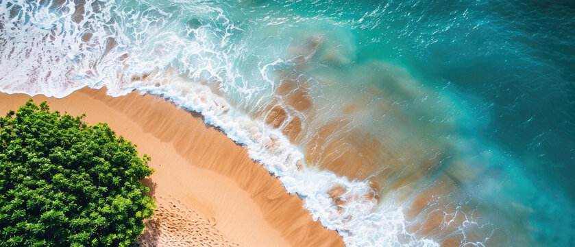 A beach with a tree in the foreground and a body of water in the background