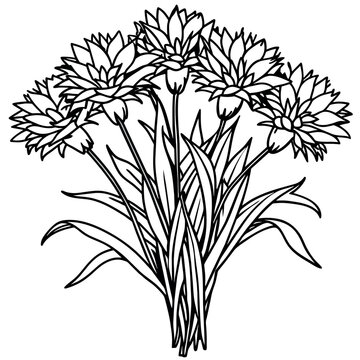 recommend clip art: Cornflower Flower  Bouquet outline illustration coloring book page design, Cornflower Flower  Bouquet black and white line art drawing coloring book pages for children and adults