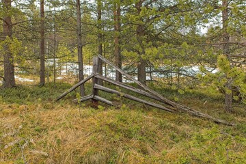 Old abandoned wooden fence in forest in cloudy spring weather.