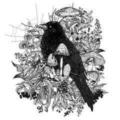 Fototapeta premium Vector illustration of a mystical raven surrounded by wild berries, flowers, mushrooms, cobwebs in engraving style