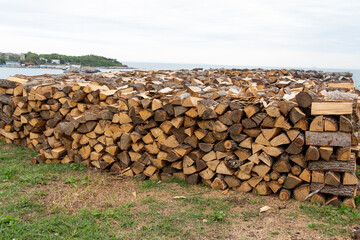pile of firewood on the grass