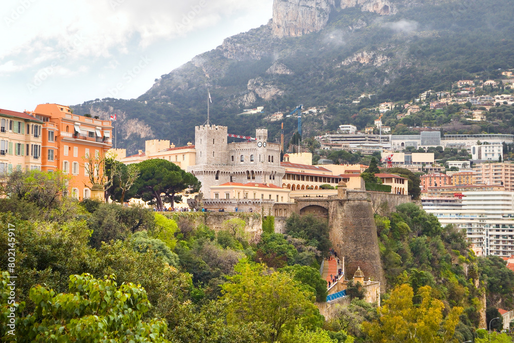 Wall mural View of Prince's Palace in Monaco