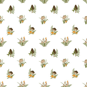Autumn mushrooms seamless pattern. Vector illustration with fern leaves and muchroom composition. Cottagecore aesthetics. Template for textile, wallpaper, paper, print. White background. 