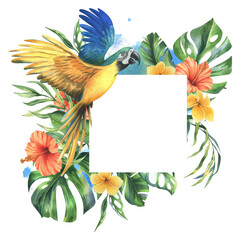 Tropical palm leaves, monstera and flowers of plumeria, hibiscus with blue-yellow macaw parrot. Hand drawn watercolor botanical illustration. Template frame square isolated from the background © NATASHA-CHU