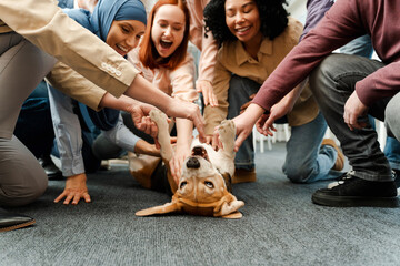 Group of happy multinational people, business team petting dog together, resting, team building