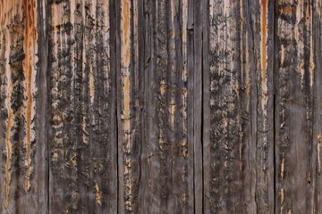 Closeup of old wood wall texture background.