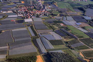 Luftaufnahme bunter Felder bei Friedrichshafen am Bodensee in Baden-Württemberg, Deutschland,...