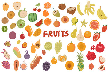 Fruits hand drawn set. Vector illustration isolated on white background. For packaging, wall art, posters, branding,  magazines, book cover, blogs,  business, social media, greeting cards,  banner