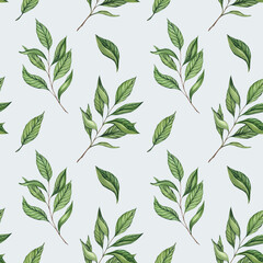 Watercolor seamless pattern with tea leaves on a colored background. Hand-drawn print with branches and green tea leaves. Baikhovy, black, green tea. Packaging design and design © Yana