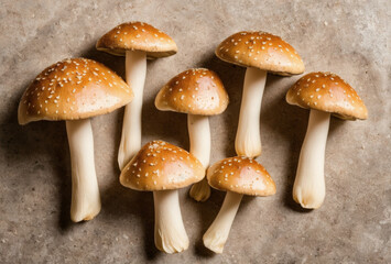 Elegant display of mushroom slices on a soft beige background with natural lighting. AI generated.