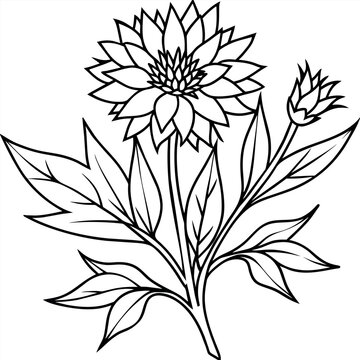 recommend clip art: Cornflower flower plant outline illustration coloring book page design, Cornflower flower plant black and white line art drawing coloring book pages for children and adults
                    