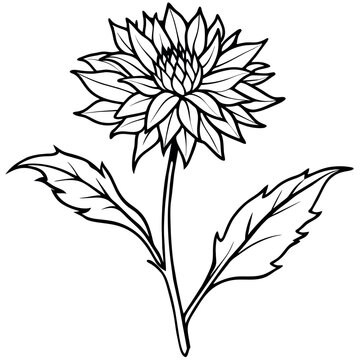 recommend clip art: Cornflower flower plant outline illustration coloring book page design, Cornflower flower plant black and white line art drawing coloring book pages for children and adults
                    