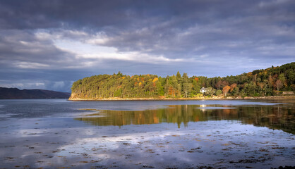 Distant woodlands of Inverewe gardens on the waters edge of Loch Ewe in autumn in the Scottish Highlands in Scotland, UK.