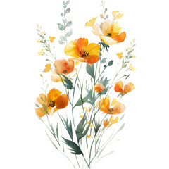 watercolor summer wildflower floral decoration