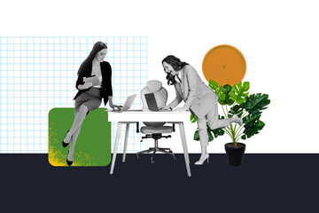 Composite photo collage of excited old bossy businesswoman together young clerk girl work together freelance isolated on painted background
