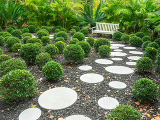 Decorative bright round steppingstones along a footpath by spherical low shrubs (unidentified...