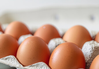 Brown eggs in carton on white background