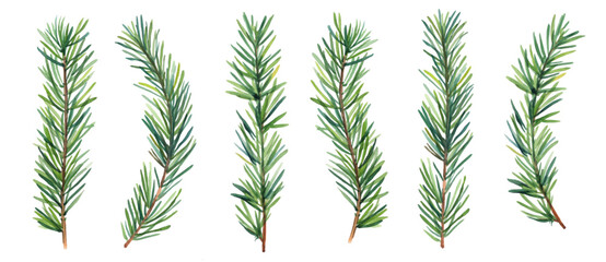 Vector designer elements set collection of green natural forest pine christmas tree needles branches greenery hand drawn in watercolor style. Decorative winter seasonal editable, isolated art bundle