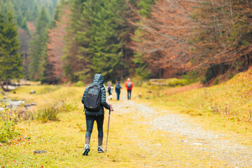 A diverse group of people are leisurely walking down a winding trail surrounded by tall trees in a...