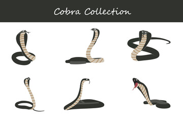 Cobra collection. Cobra in different poses. Vector illustration.