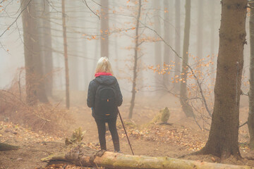 A solitary figure walks among towering trees enveloped in a mystical fog, their presence a serene...