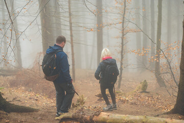 A man and a woman walking hand in hand through a foggy forest, surrounded by tall trees and...